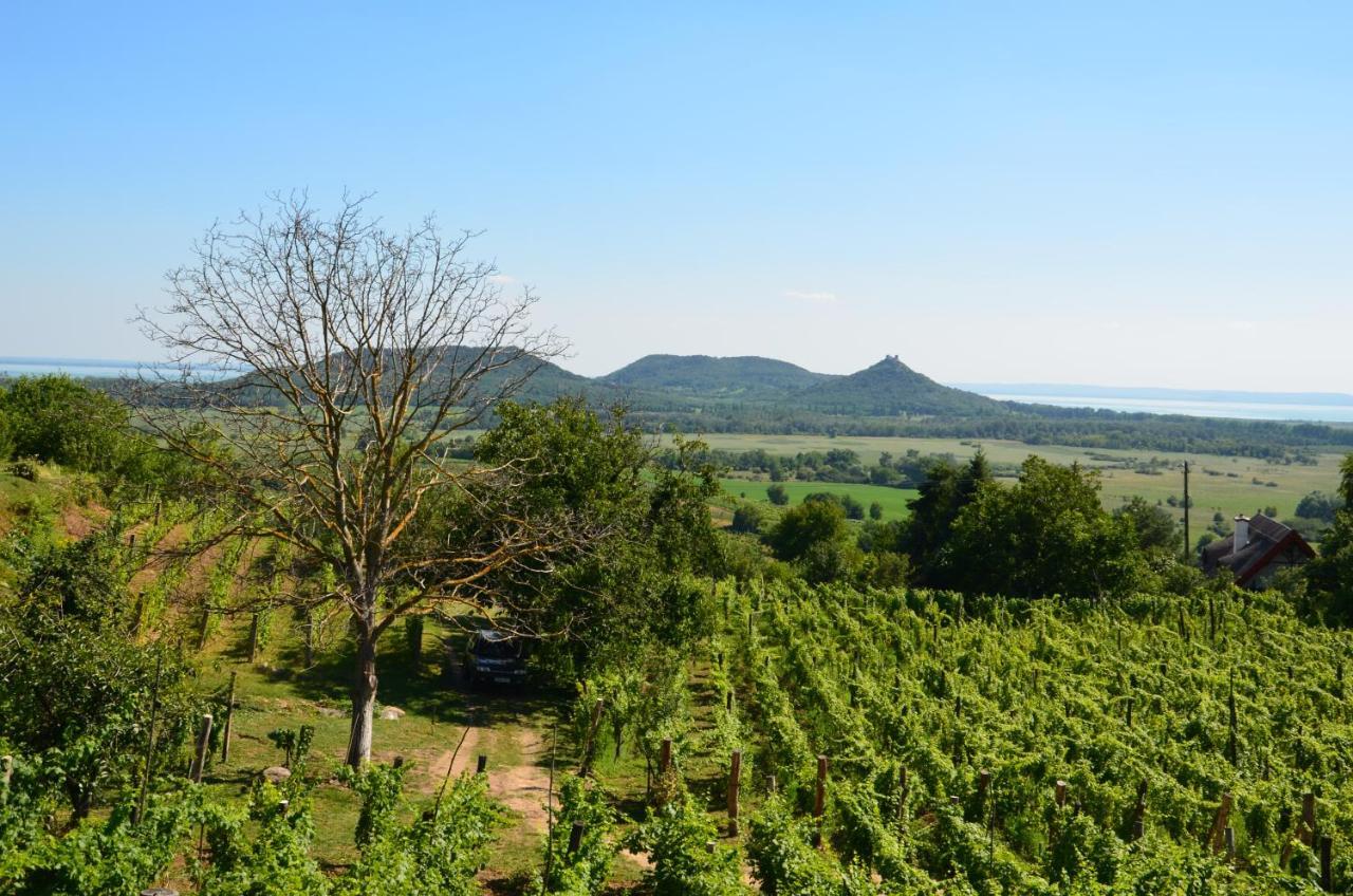 Grand Cru 3. Vendégház Hegymagas Exterior foto